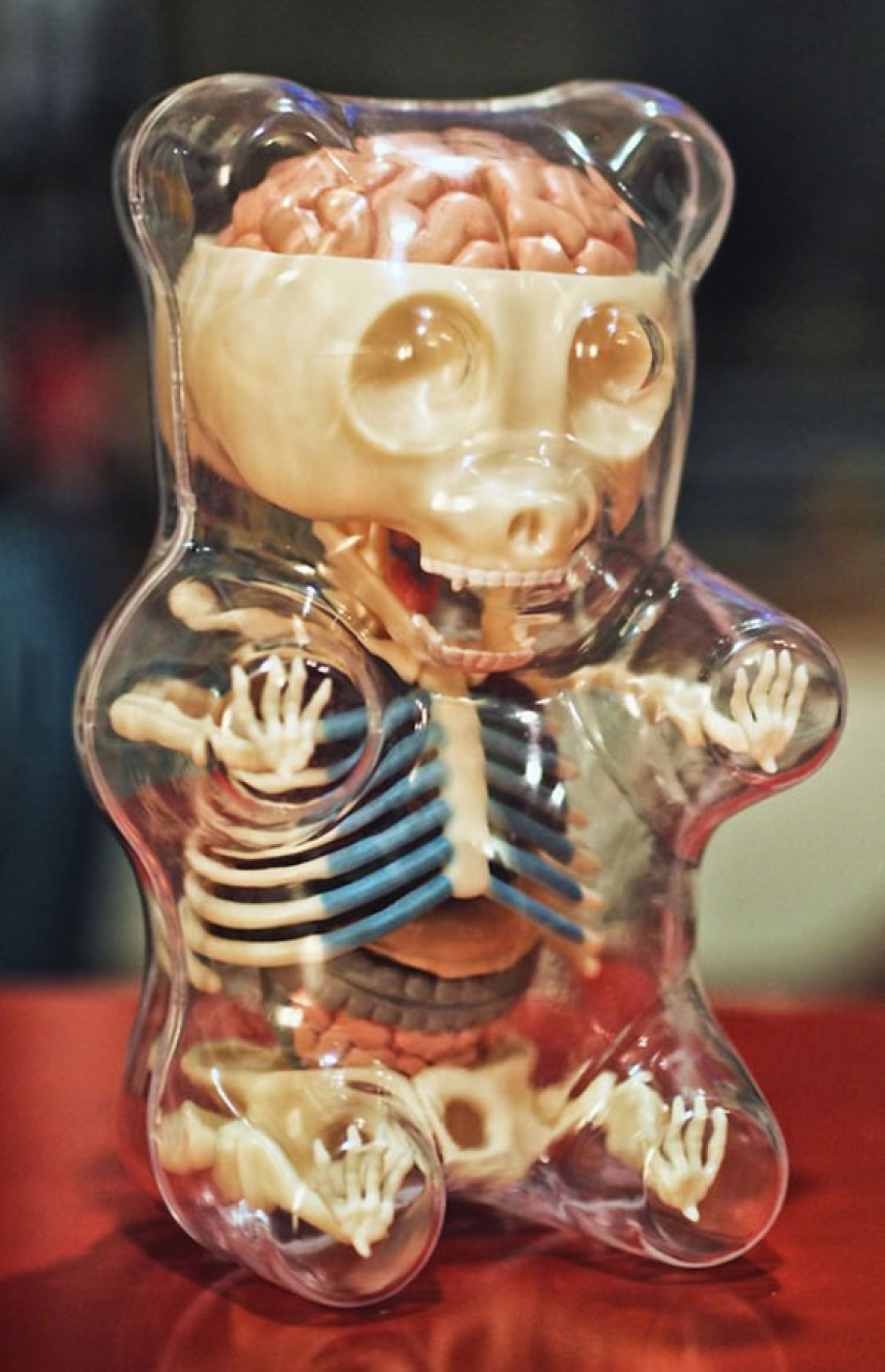 The Inside Of A Simple Gummy Bear