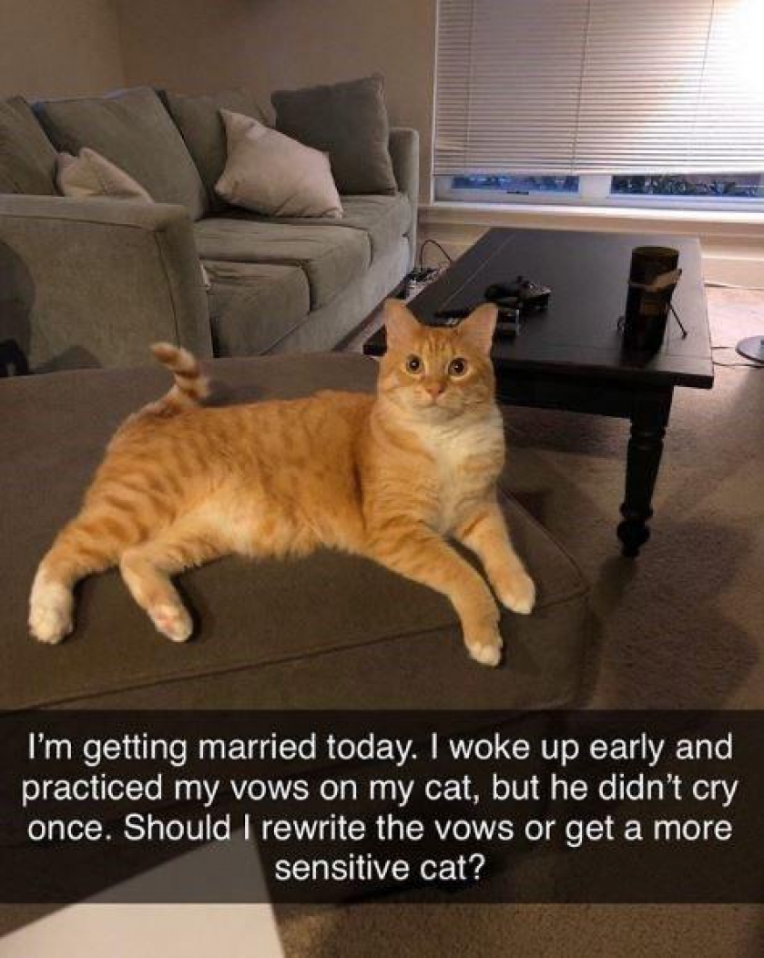 he looks traumatized
