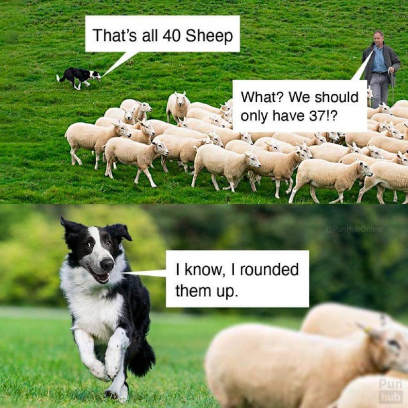 What a joker
