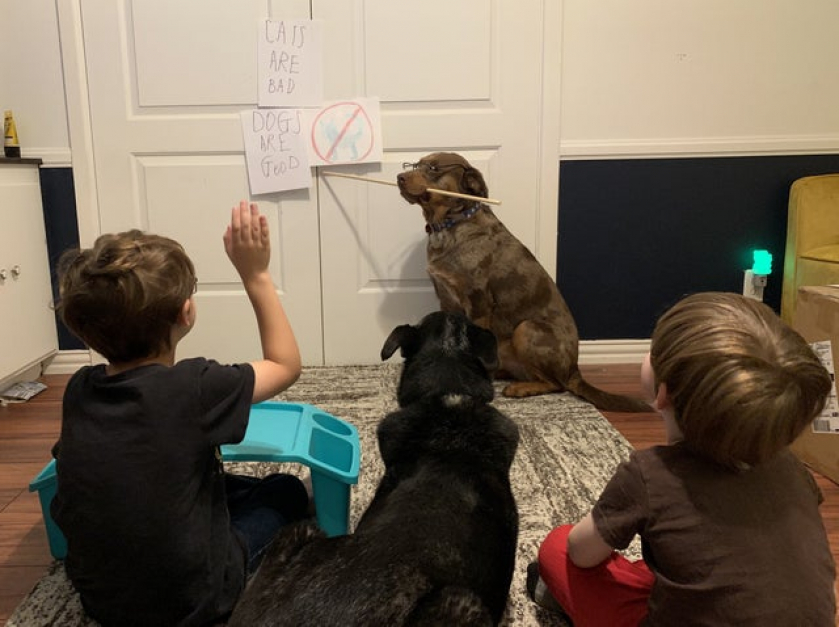 Maybe I shouldn’t have outsourced my homeschooling...