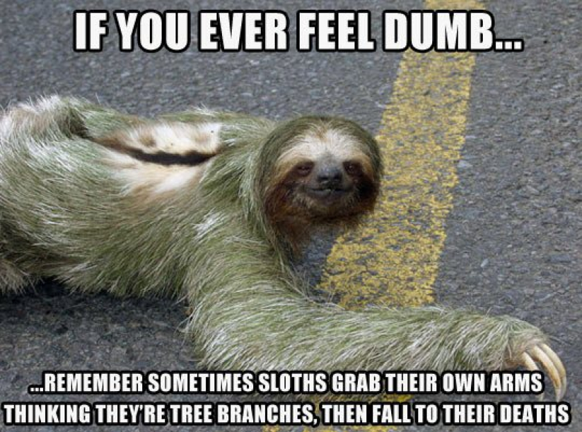 Remember This Whenever You Feel Dumb