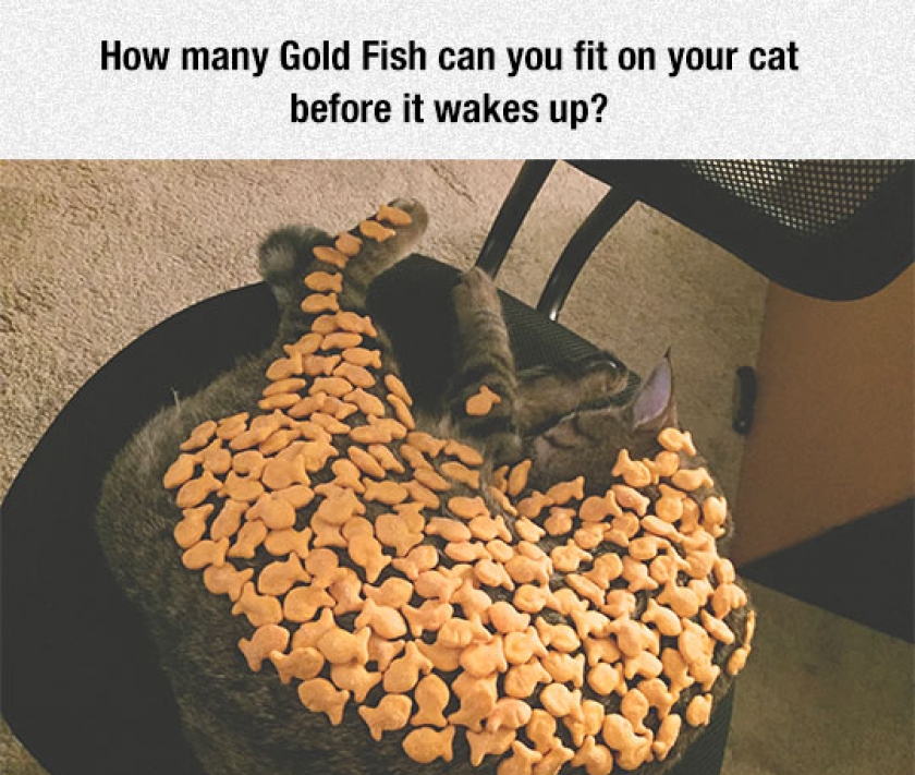 Have You Ever Tried This?