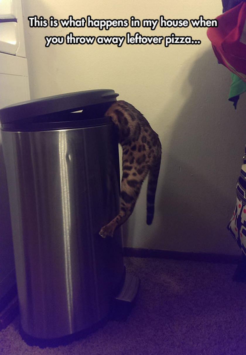 Throwing Away Leftover Pizza