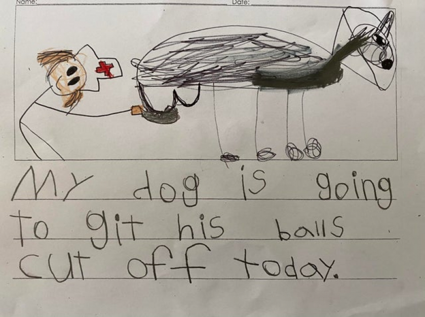 My niece drew this at school yesterday.