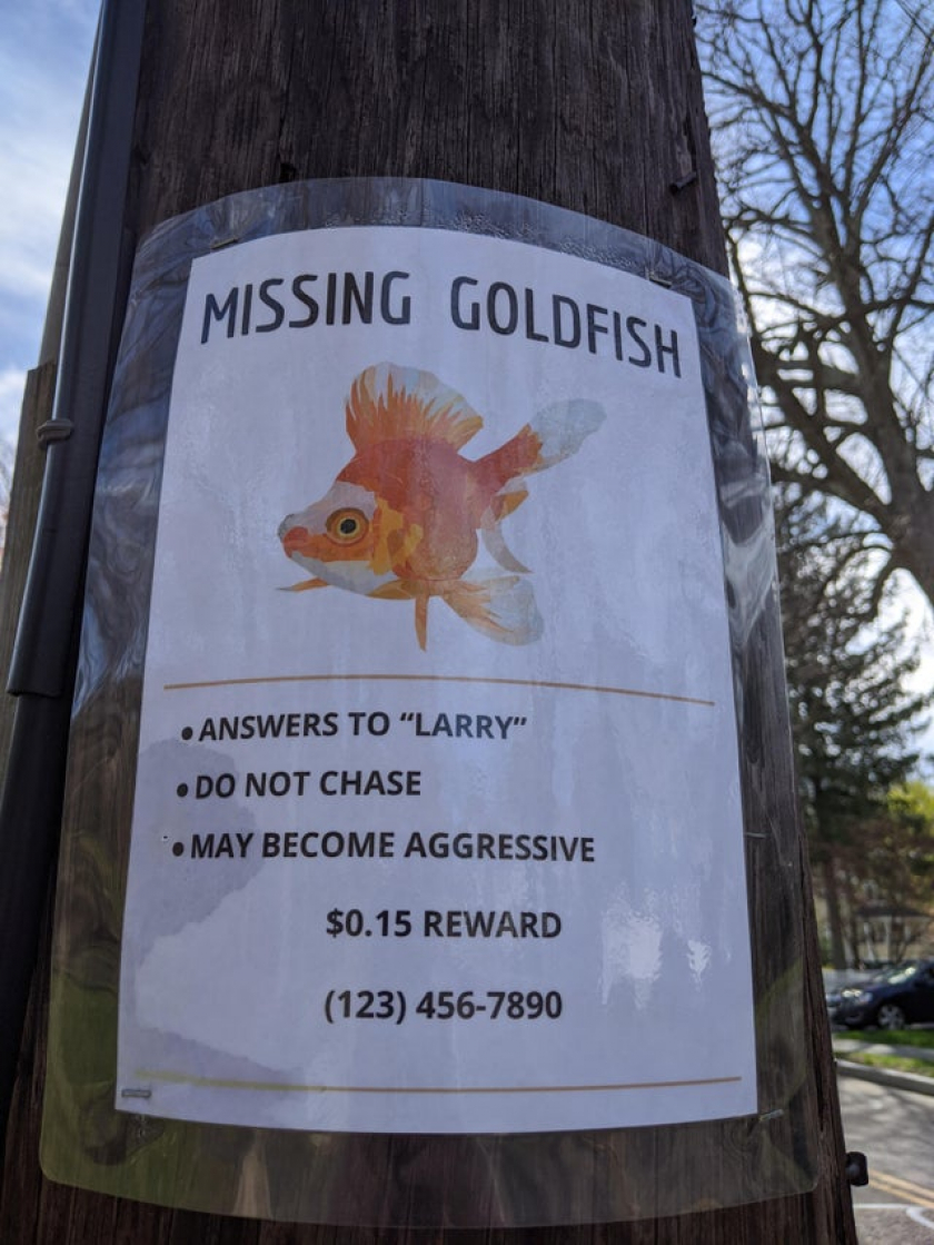 I found this in my neighborhood.