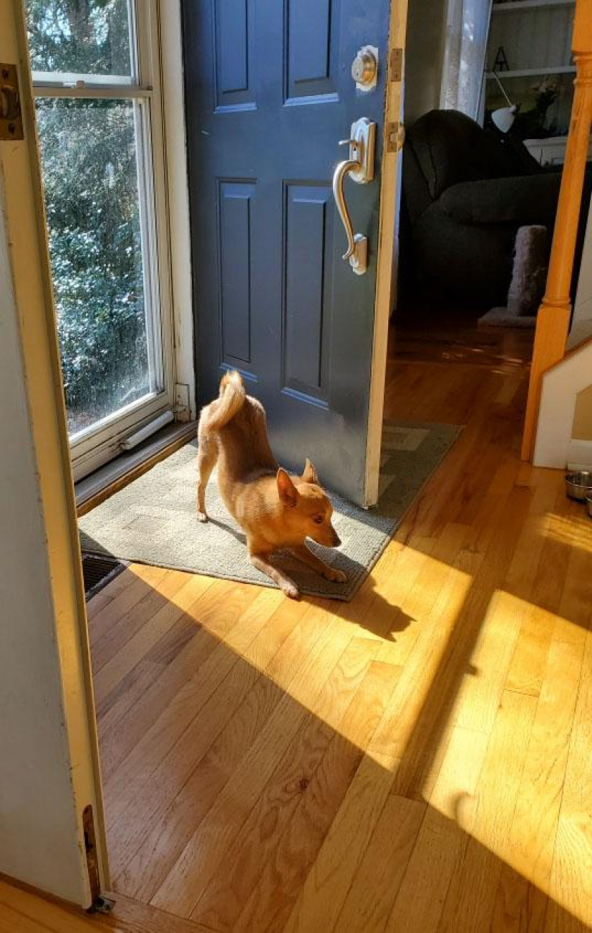 Oh that feels good ... vitamin D for the butt