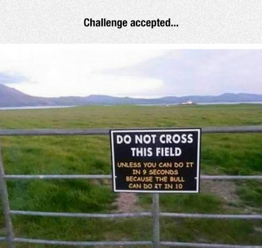 If You Can Beat The Bull…