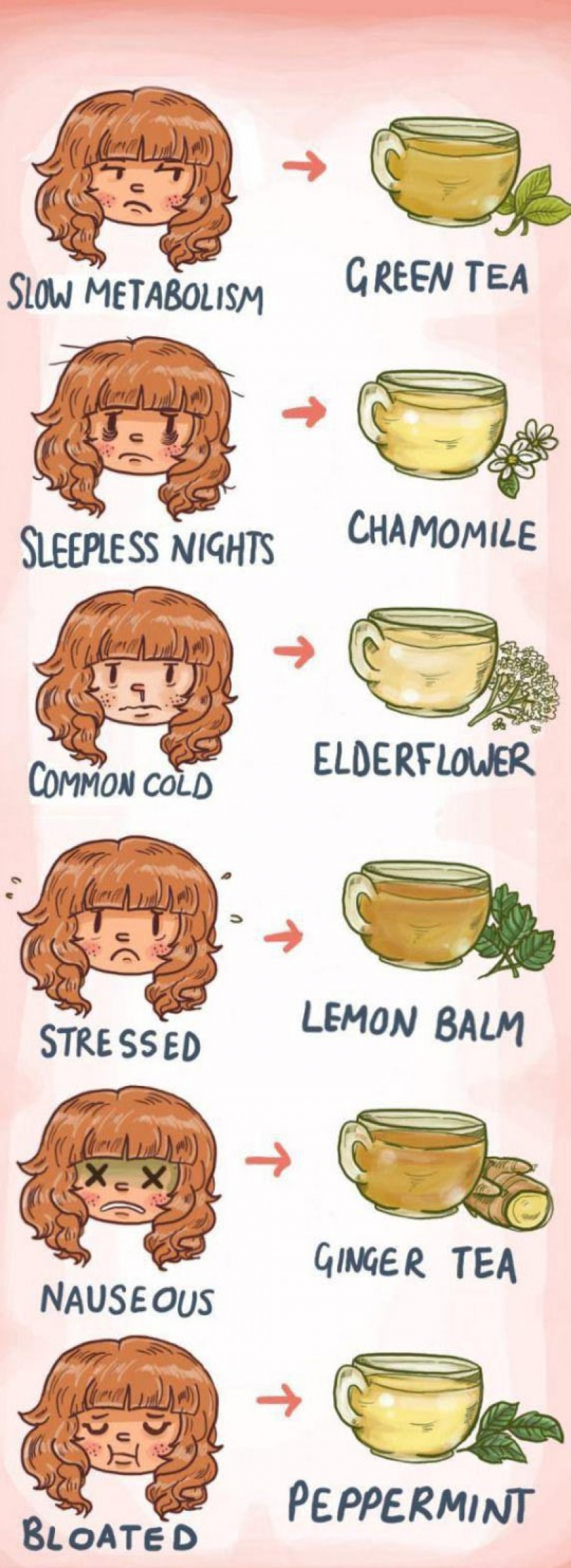 Know Your Tea