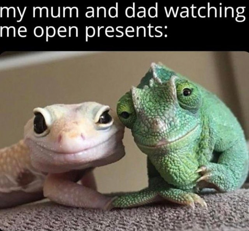 My dumb ass is just opening