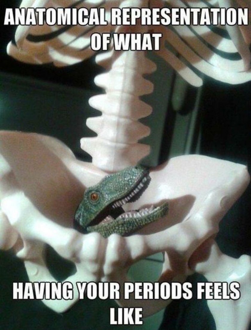 Yep, That’s About Right