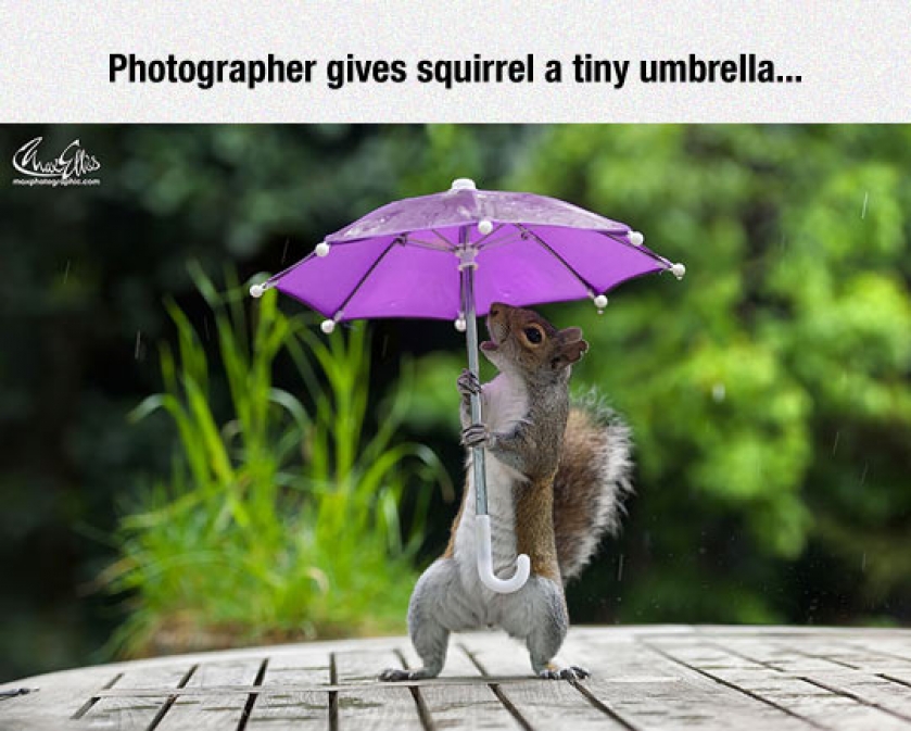 He’s Singing In The Rain