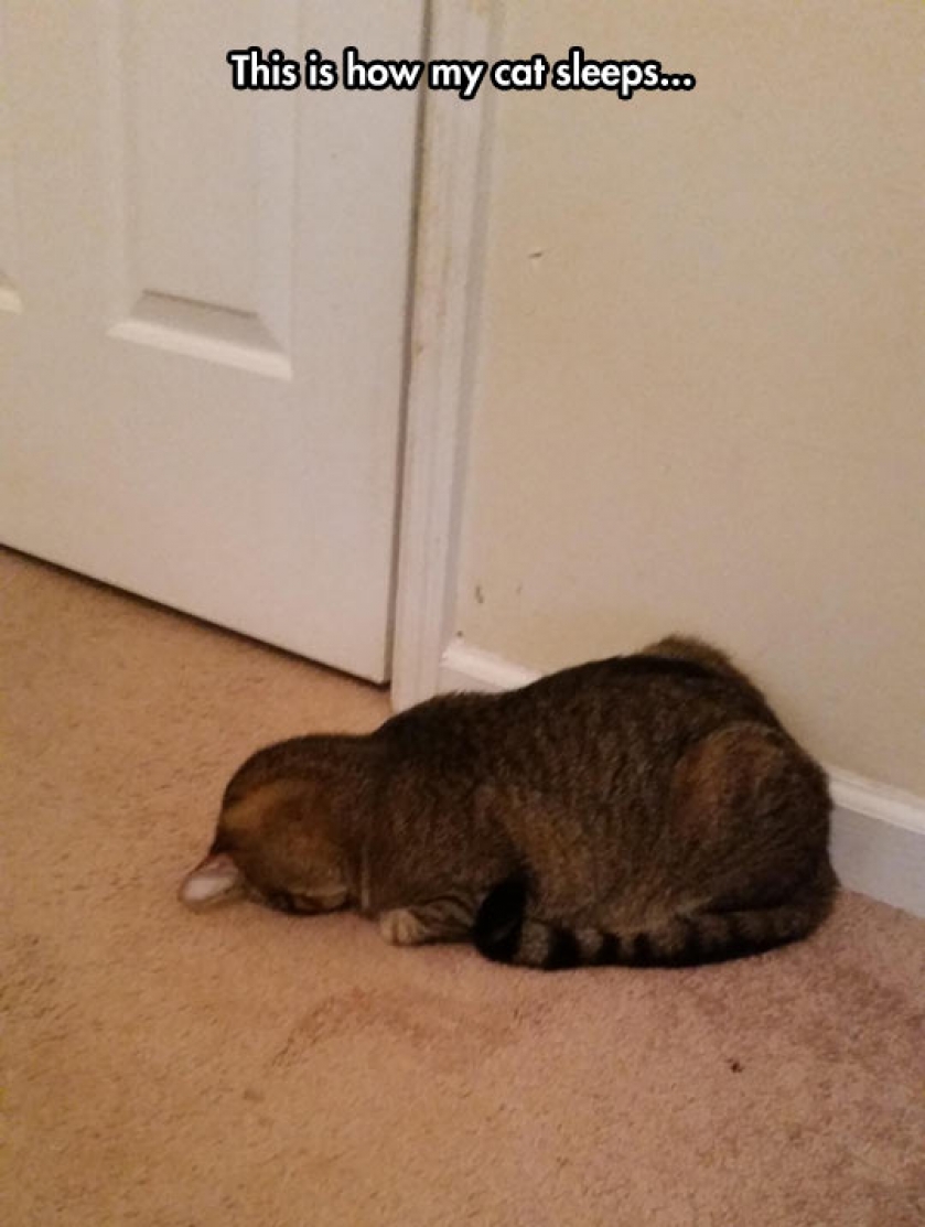 Tired Of The World
