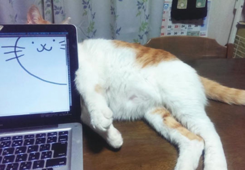 No One Will Find Me Here