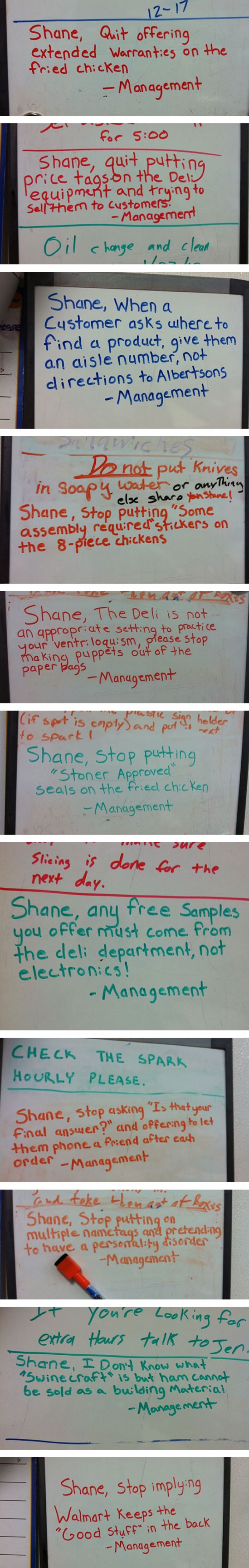 I Want To Work Where Shane Works