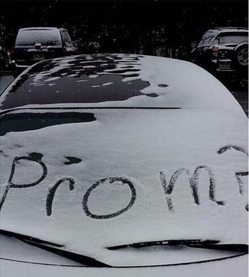                          Wrote this on a few cars and then left                      