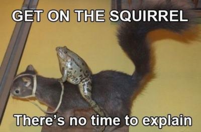                          No time to explain                      
