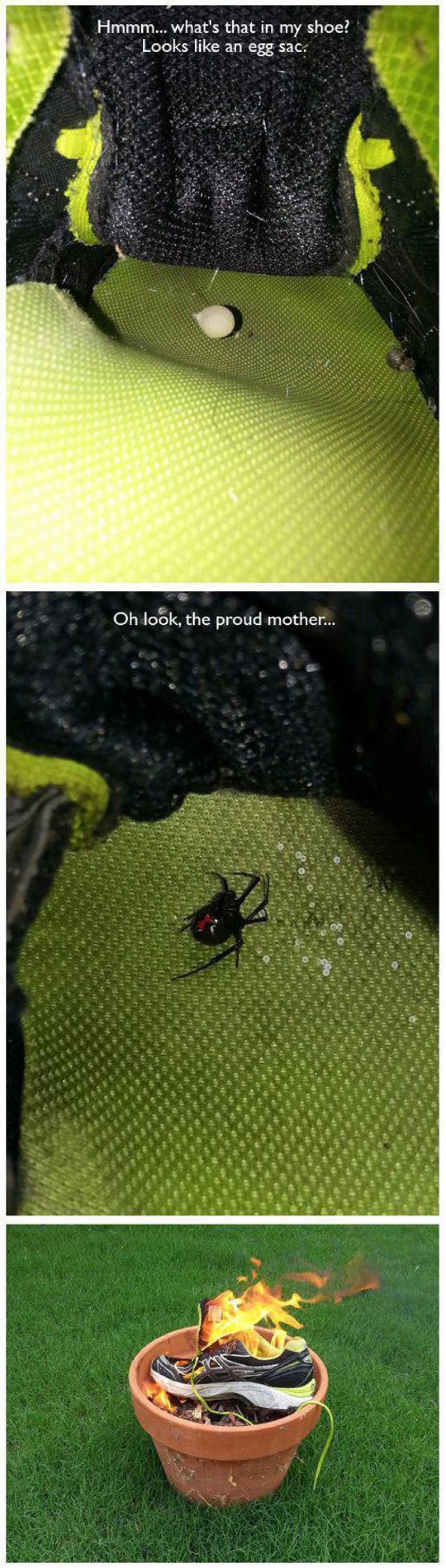 Wait, What’s That In My Shoe?
