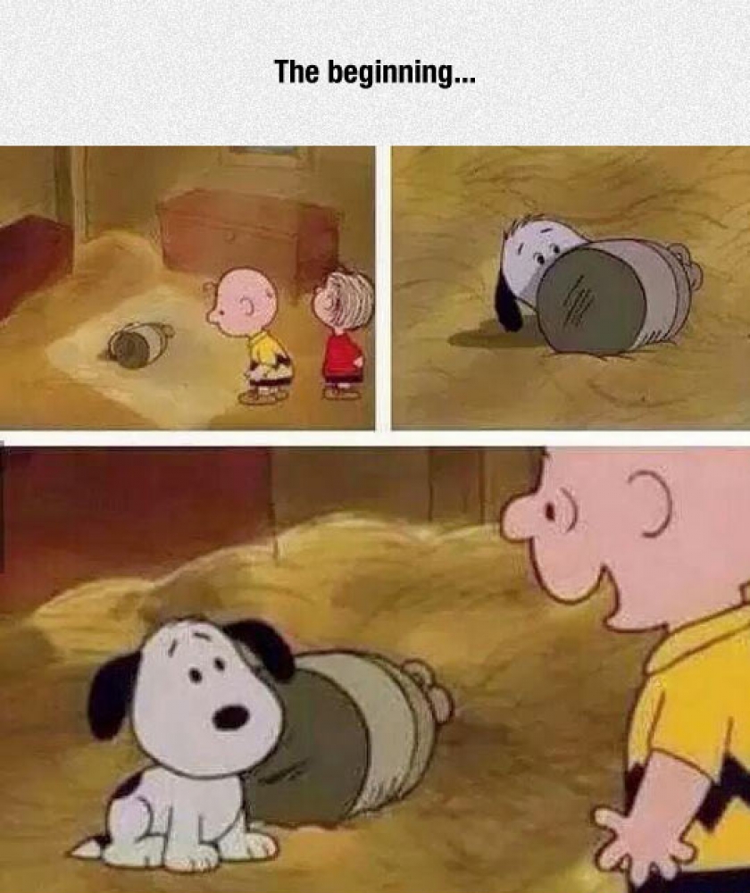 The Moment Everything Started