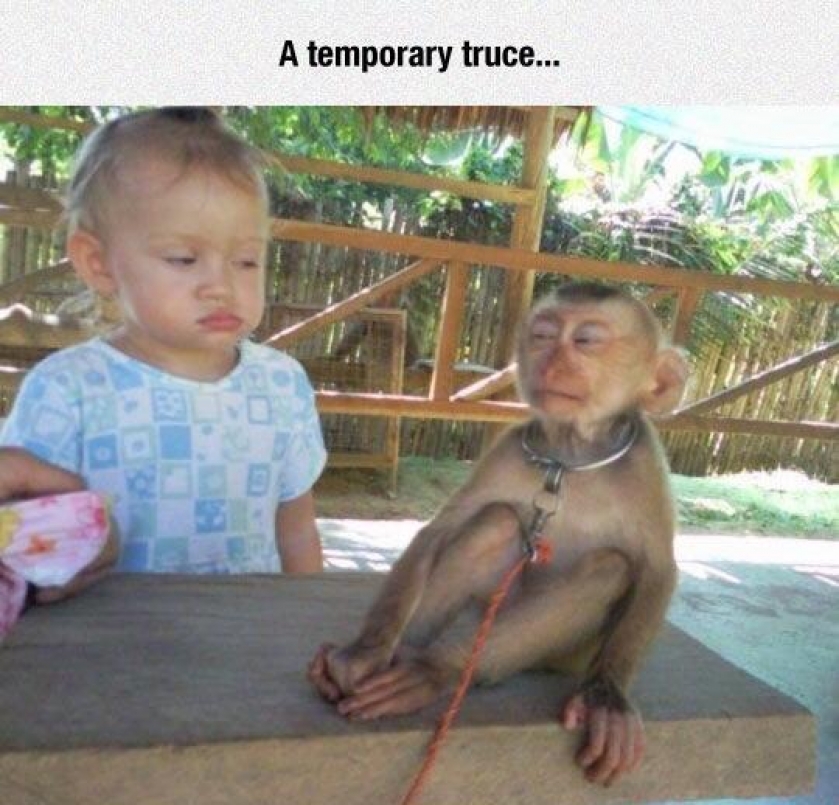 Is that a face swap