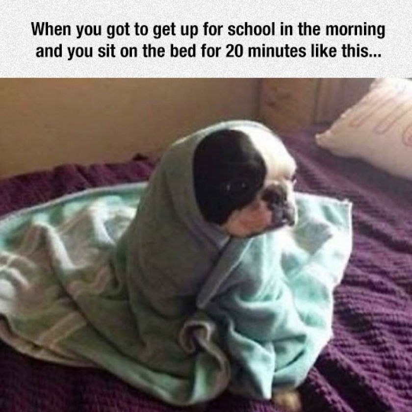 Getting Up Too Early In The Morning