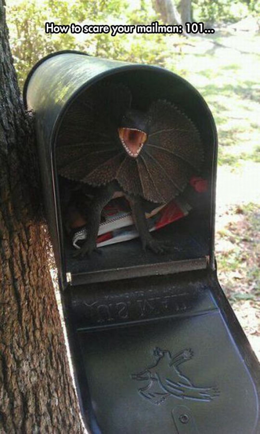 How To Never Get Mail Again
