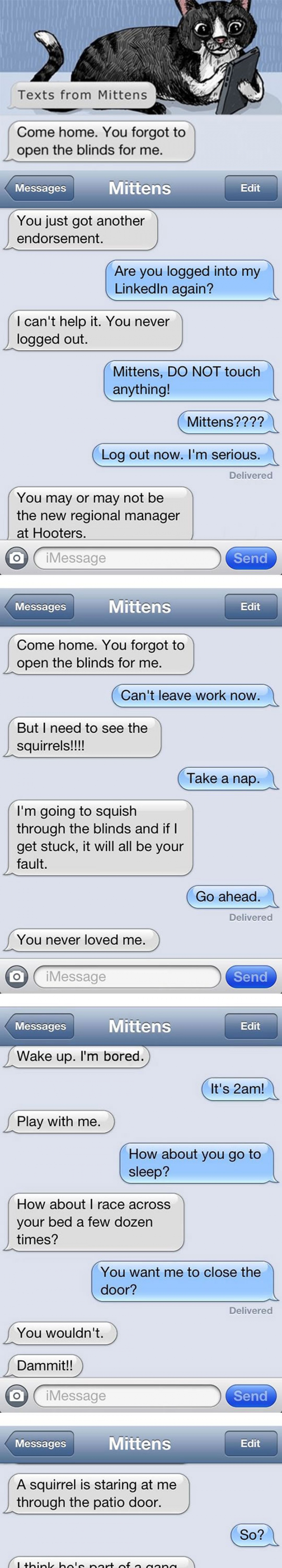 If Cats Could Text Their Owners