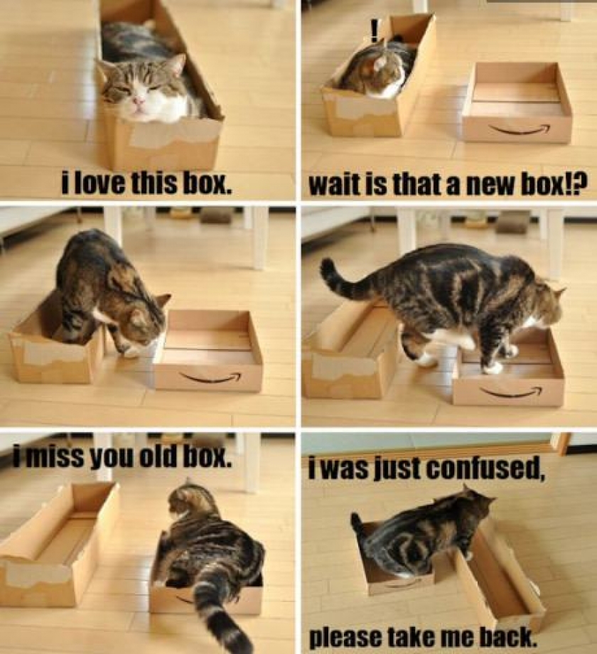 Cat logic