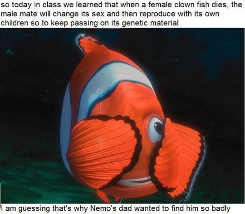 I Can’t Watch This Movie The Same Way Anymore