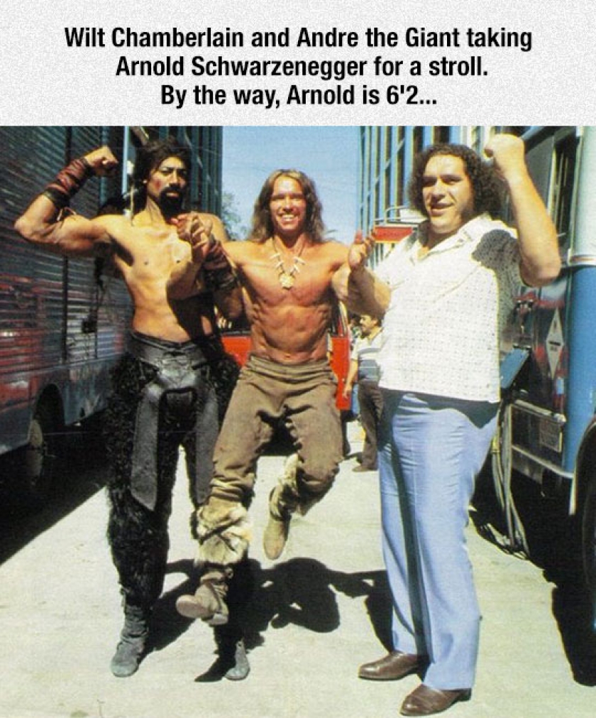 Arnold Looks So Tiny