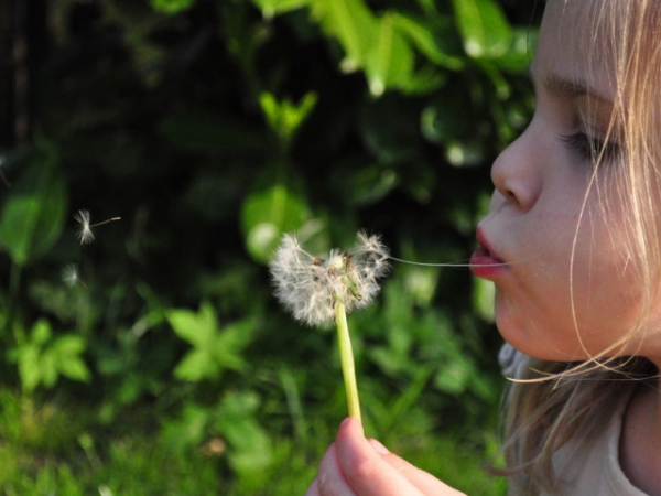 Have you made a wish this year?