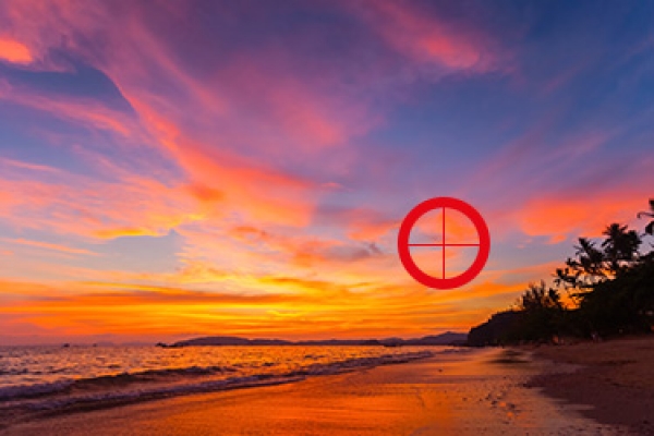 Choose the image that you can see in the red circle!