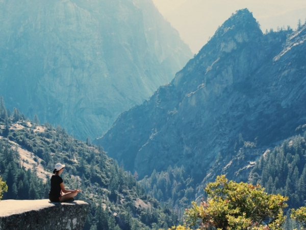 Have you meditated today?