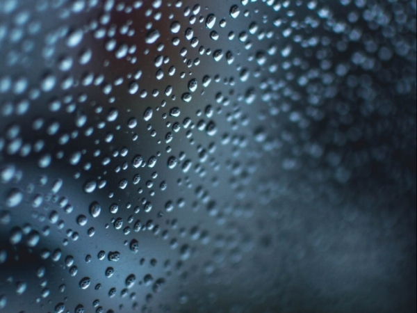 Where would you rather spend a rainy afternoon?