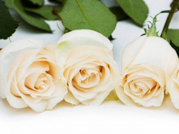Pick a flower!