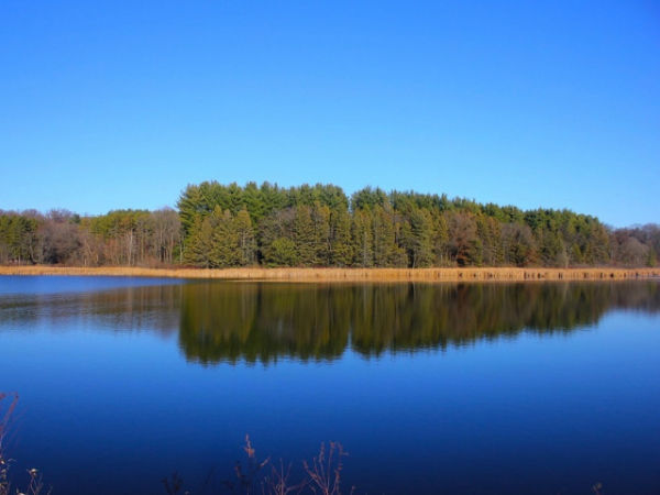 What do you like you natural surroundings to be?