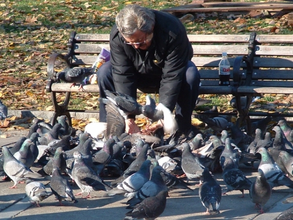 Which of the following do you most enjoy doing at a park?