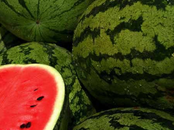 Which fruit seems the most refreshing on a hot summer day?