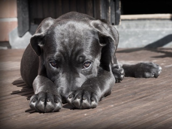 On a scale of 1-5 with 5 being quite a lot, how much do you struggle with shyness?