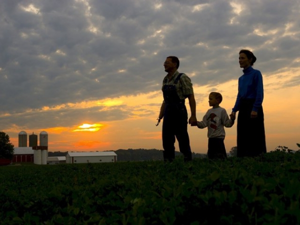 How big of a family would you most like to have?