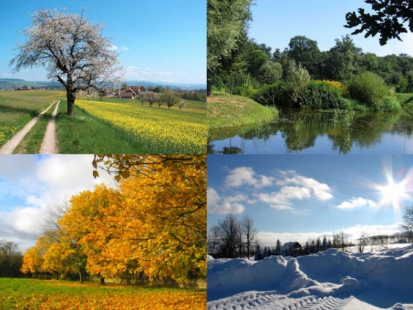What type of weather do you prefer?