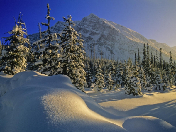 What do you enjoy most about winter?