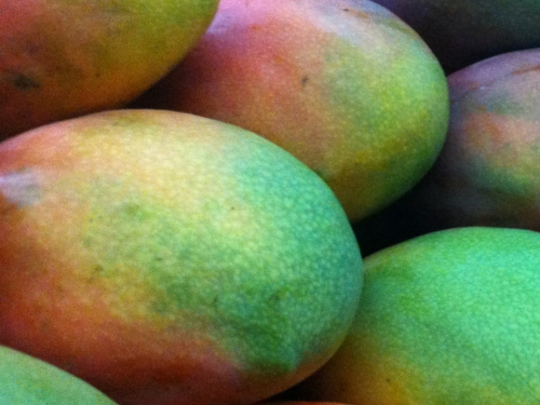 Pick a tropical fruit!