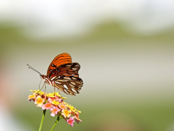 How receptive are you to change?