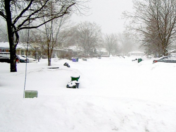 It's been snowing so much that schools and offices are closed! How are you planning to spend your snow day?