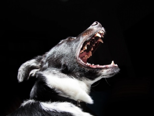 How often do you get angry?