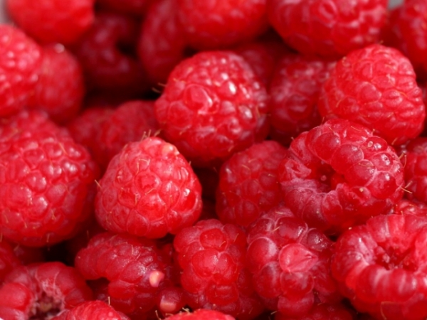 Pick a fruit!