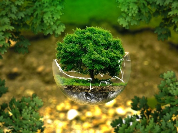 What are your thoughts on global warming?