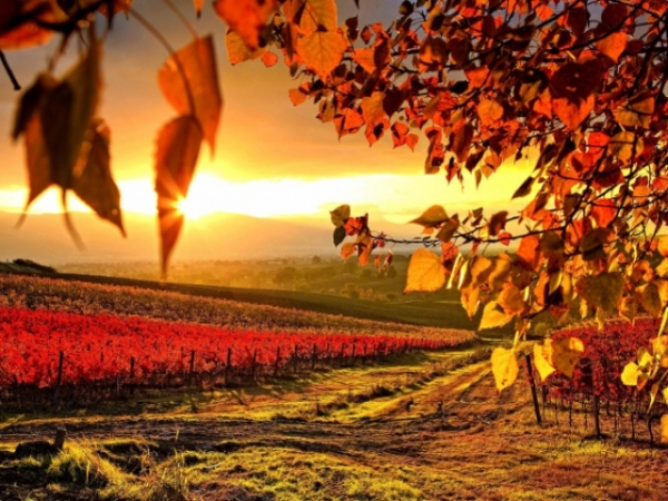 What gives you a feeling of peace and calm?