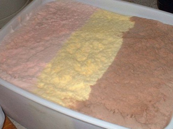 Which of the following ice cream flavors are you most likely to pick for a treat?