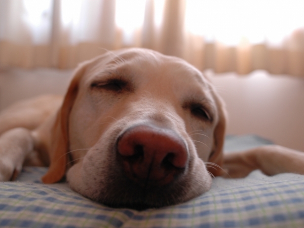 What time do you typically go to bed?